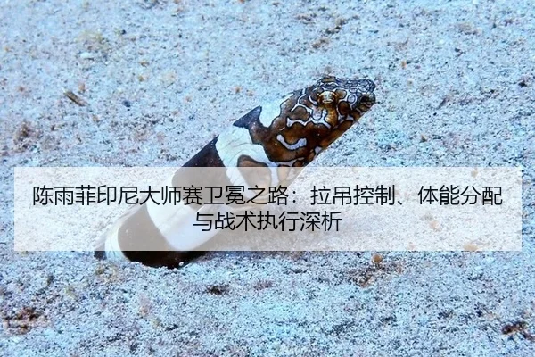 chen-yu-fei-yin-ni-da-shi-sai-wei-mian-zhi-lu-la-diao-kong-zhi-ti-neng-fen-pei-yu-zhan-shu-zhi-xing-shen-xi-2-558.jpg